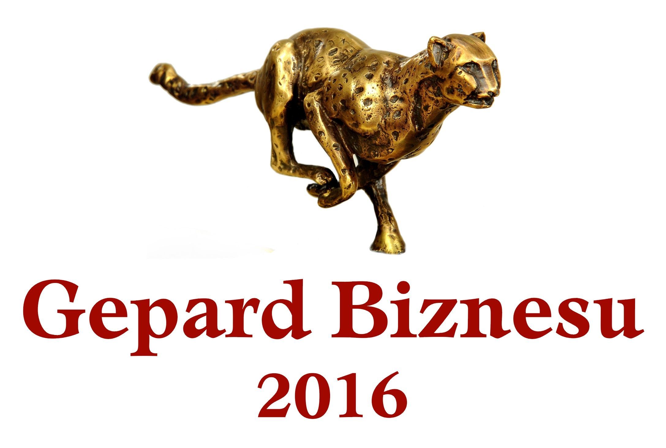 Logo 1